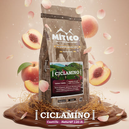 Sprint Coffee Pack